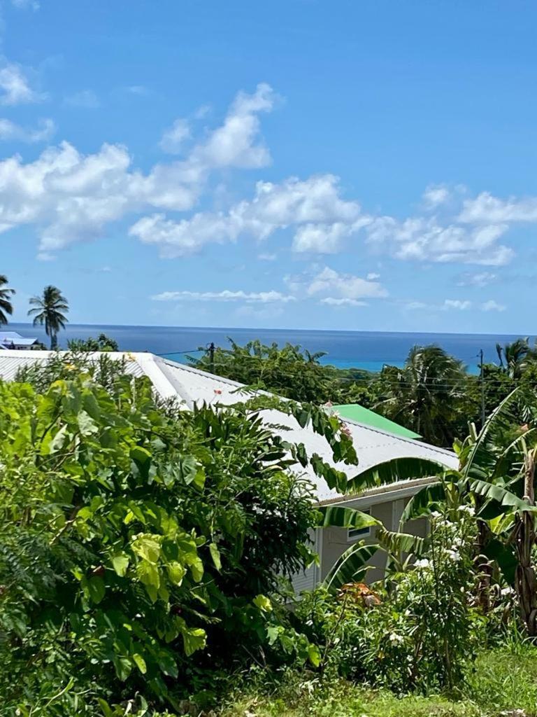 Vanille Et Vahine Fr2Pf8Al Villa Grand-Bourg  Ngoại thất bức ảnh